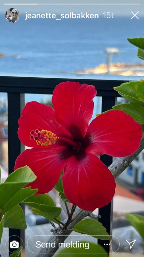 Candia Hotel Chania  Zewnętrze zdjęcie